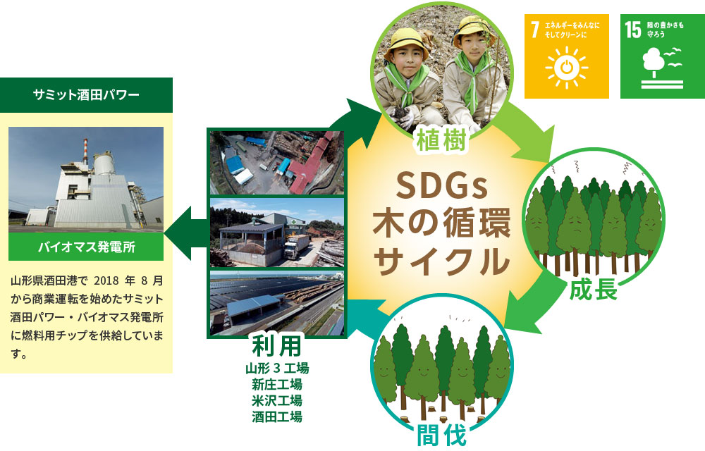 SDGs木の循環サイクル